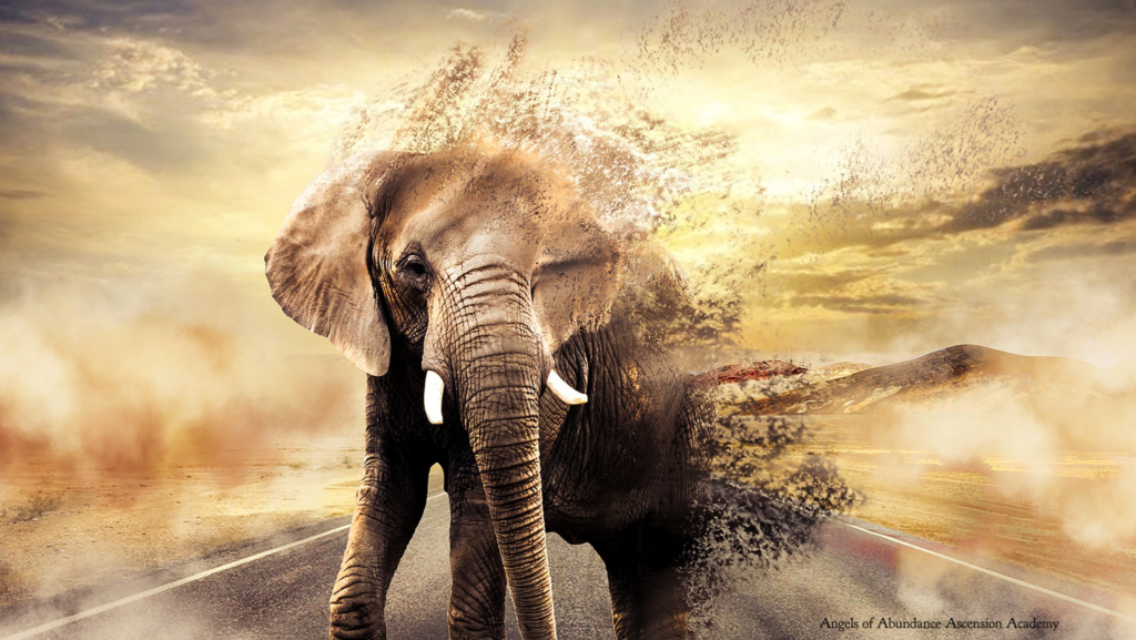 Elephant on the road, dissolving into a glorious golden sky as he's leaving the tribe