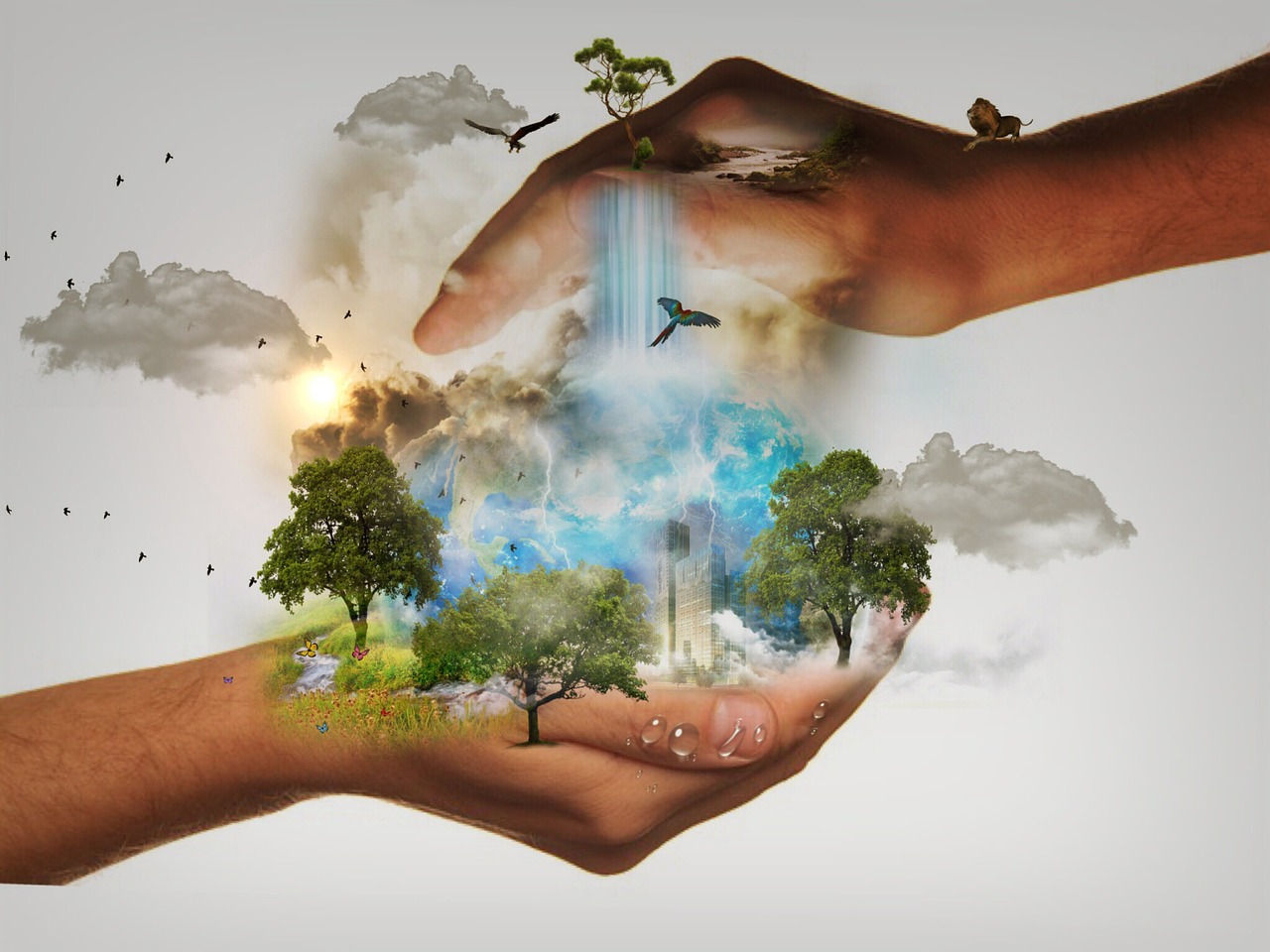 hands holding nature